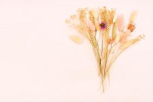 dried flowers and spikelets on pink with copyspace photo
