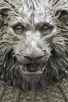 Lion head fountain photo