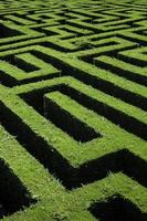 Maze in nature photo