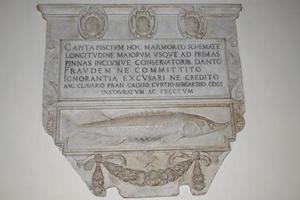 Campidoglio museum bas relief photo