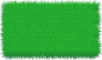 Green grass border on isolated white background Vector Illustration