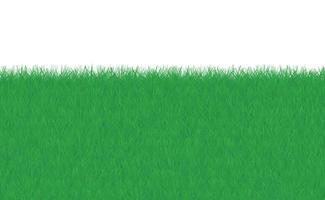 Green grass border on isolated white background Vector Illustration