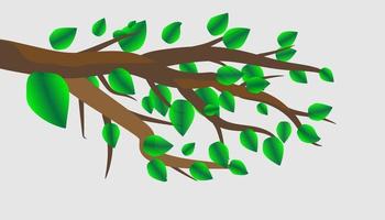 árbol rama con verde hojas terminado blanco antecedentes. vector gráficos. obra de arte diseño elemento.