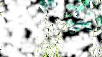 fleurs abstraites illustration numérique botanique video