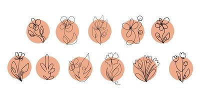 Wildflowers vector icon set continuous line drawing stable line editable cell line icon, logo, label on beige background