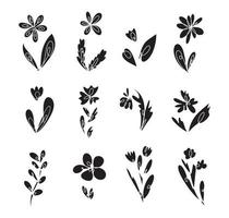 vector collection set of flowers botany line solid line draw black silhouette pink background suitable for social media