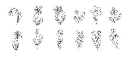 Continuous line drawing plants black sketch wild flowers isolated on white background flowers one line illustration minimalist print set vector