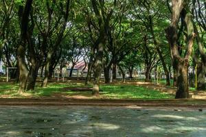 trees at the public park. city park at banda aceh indonesia photo