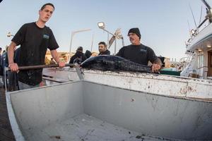 San diego, Estados Unidos - 17 de noviembre de 2015 - barco de pesca descargando atún al amanecer foto