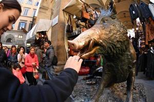 FLORENCE, ITALY - MARCH 27 2017 - Tourist touching fortune boar pig in Florence photo