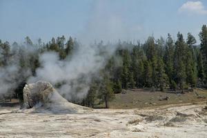yellowstone geyser view photo