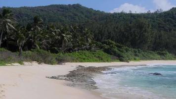 Wild empty beach in Seychelles video