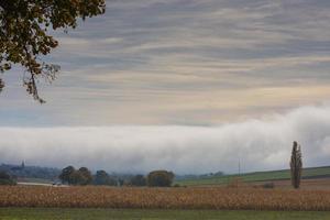 huge wall of white dense fog on the ground with fields and trees in the nature photo