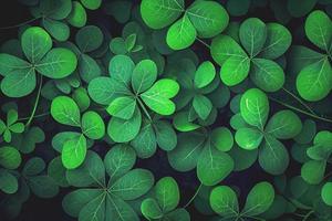 Saint Patrick's day green background. Green clover leaves pattern with copy space. photo