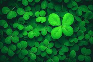 Saint Patrick's day green background. Green clover leaves pattern with copy space. photo