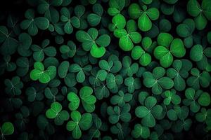 Saint Patrick's day green background. Green clover leaves pattern with copy space. photo