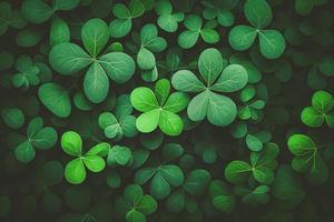 Saint Patrick's day green background. Green clover leaves pattern with copy space. photo