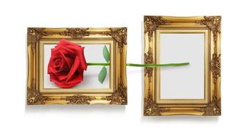 Picture of roses in two old wooden frames isolated on white background. photo