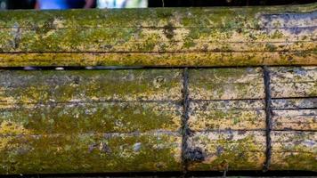 textura de pared de bambú cubierto de musgo como fondo foto