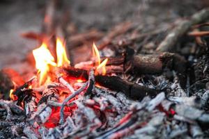 hoguera en invierno , ardiente fuego en contra el frío Mañana viento. foto