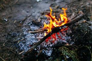 hoguera en invierno , ardiente fuego en contra el frío Mañana viento. foto