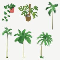 Palm trees isolated on white background. Beautiful vector tree set vector illustration.