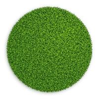 Green grass circle field isolated on white background vector