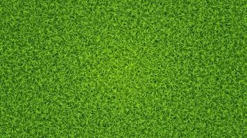 Green grass vector texture. Fresh lawn summer grass background