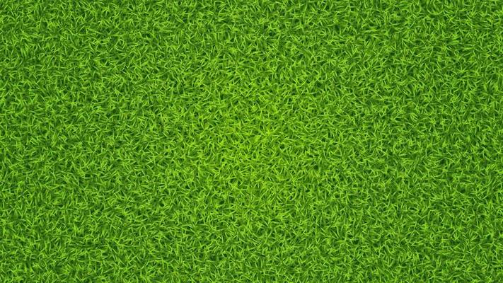 Green grass vector texture. Fresh lawn summer grass background