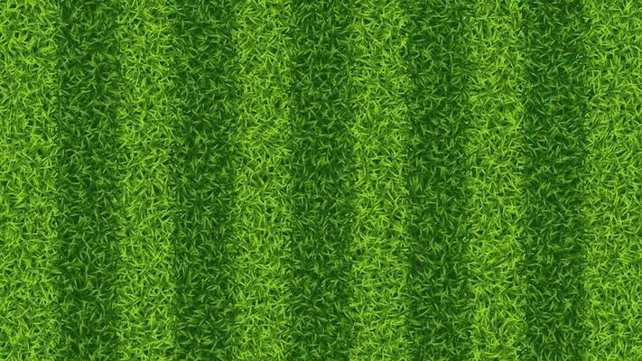 Striped soccer football grass field vector texture. Green grass pattern for sport background