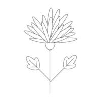 Flower with leaves, black line drawing, doodle isolated on white background. vector