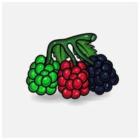 Raspberry Fruit Cartoon With Simple Gradient and Details. vector