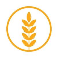 wheat grain icon vector logo design.