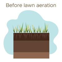 Lawn care - aeration and scarification. Labels by stage-before. Intake of substances-water, oxygen, and nutrients to feed the grass and soil. Vector flat illustration isolated