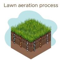 Lawn care - aeration and scarification. Labels by stage-during. Intake of substances-water, oxygen, and nutrients to feed the grass and soil. Vector isometric illustration isolated