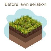 Lawn care - aeration and scarification. Labels by stage-before. Intake of substances-water, oxygen, and nutrients to feed the grass and soil. Vector isometric illustration isolated