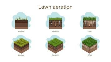 Lawn care - aeration and scarification. Labels by stage-before, during, and after. Intake of substances-water, oxygen, and nutrients to feed the grass and soil. Vector isometric and flat illustration