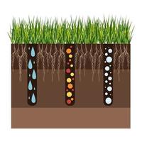 césped cuidado - aireación y escarificación. etiquetas por etapa-durante. consumo de sustancias-agua, oxígeno, y nutrientes a alimentar el césped y suelo. vector plano ilustración aislado