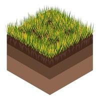 Lawn care - aeration and scarification. Labels by stage-before. Intake of substances-water, oxygen, and nutrients to feed the grass and soil. Vector isometric illustration isolated