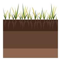 Lawn care - aeration and scarification. Labels by stage-before. Intake of substances-water, oxygen, and nutrients to feed the grass and soil. Vector flat illustration isolated
