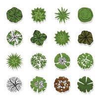 Trees top view for landscape design vector