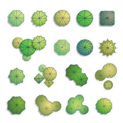 Trees top view for landscape design