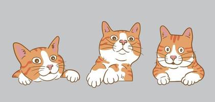 curious peeking Orange cats vector