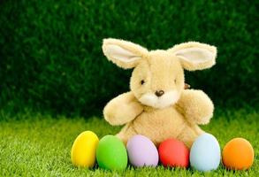 Easter eggs and bunny on grass photo