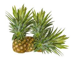 Fresh pineapple on white photo