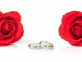 Red rose and wedding ring on white photo