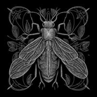 The death's head moth illustration in line art is a strikingly beautiful and intricate representation of this iconic species, capturing its unique features and patterns with precise lines and shading vector