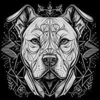 This striking angry pitbull lineart drawing captures the muscular build and intense expression of this iconic breed with intricate lines and shading vector