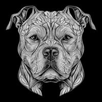 This striking angry pitbull lineart drawing captures the muscular build and intense expression of this iconic breed with intricate lines and shading vector
