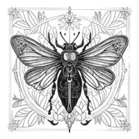 The death's head moth illustration in line art is a strikingly beautiful and intricate representation of this iconic species, capturing its unique features and patterns with precise lines and shading vector